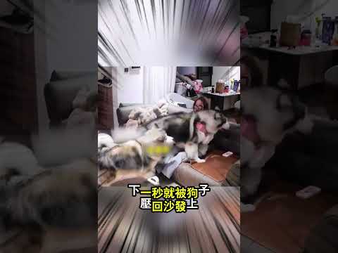 這就是為什麼女生獨居一定要養大型犬