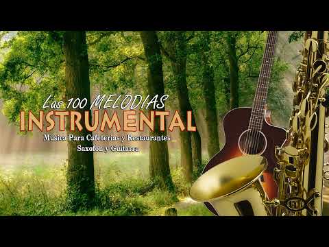 2 Horas Los Boleros Mas Hermosos De Tu Vida - Grandes Exitos Instrumentales de Oro - TIMELESS MUSIC