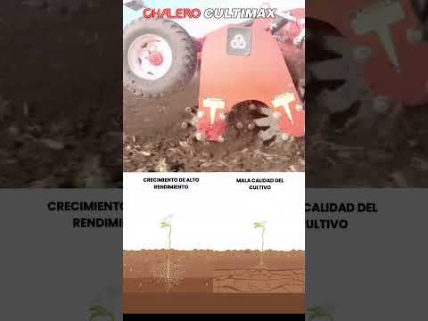 Chalero Cultimax no encharca 📍Suipacha, Buenos Aires🇦🇷