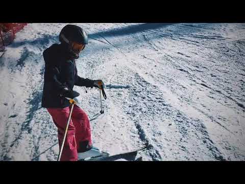 2021.01.31 Bluebird Day