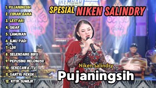 Download lagu Niken Salindri Full Album Terbaru Viral Pujaningsih Ciinan Bana Lestari mp3