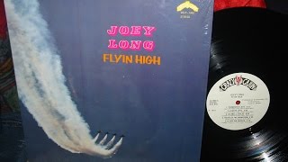 JOEY LONG FLYIN HIGH .1978 (JOSEPH STONED AGE MAN)