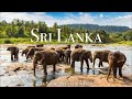 Sri Lanka 4K Scenic Relaxation Film With Calming Music