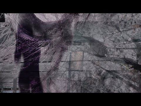Elektrik Elderz - Broken Birdz [2020]