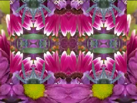 Please Return to Jesus (by the Bap Kennedy Trio live in Italy, 2014)