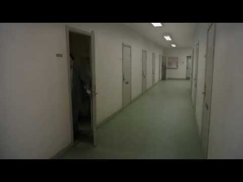 A Pigeon Sat on a Branch Reflecting on Existence clip - Corridor