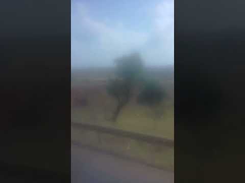 | UBERLÂNDIA | MINAS GERAIS |