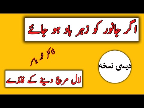 How to Treat Toxemia.|| زہر باد کا علاج ، #animals #animalcare #viralvideo