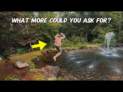 Tour of a 33,000 GALLON swim pond!