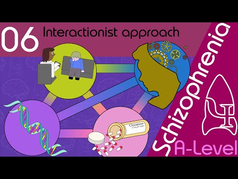 6 Interactionalist approach