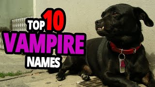 🐾 List Of The TOP 10 VAMPIRE Dog Names For Male & Female!