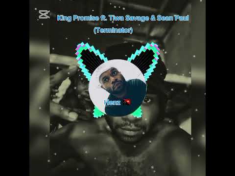 King Promise feat. Tiwa_Savage_Sean_Paul_Terminator.