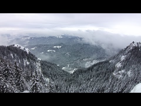 Timisul de Jos - Dambul Morii - Cabana Piatra Mare - Timisul de Sus - 10.01.2021