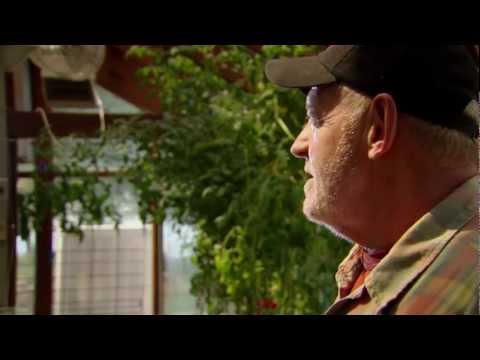 Triumph of the Tomato - Official Trailer 2013