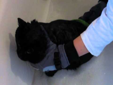 comment nettoyer crasse baignoire