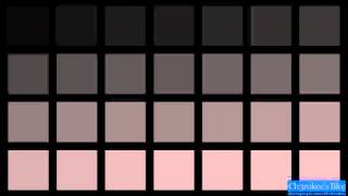 jesu - friends are evil