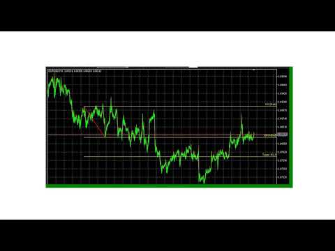 Video Fibonacci Automated