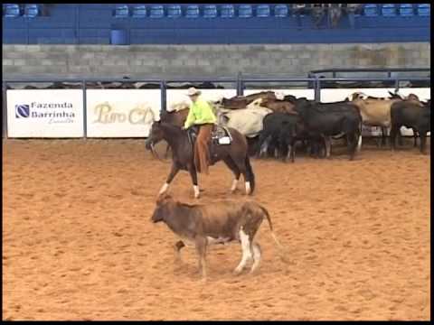 Derby ANCA 2008 - Campeão Non Pro