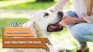 Top 5 Best Flea Prevention And Treatments For Dogs Review in