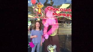 Fine's Spring Break "Rocky Top Tennessee" Fan Video