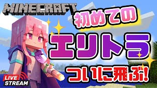 【マインクラフト】初めてのエリトラで飛ぶ！