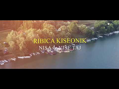 RIBICA KISEONIK NAJAVA ,  NOVI HIT SPOT "DAJ DAJ DAJ - NISAM VIŠE TAJ"!!