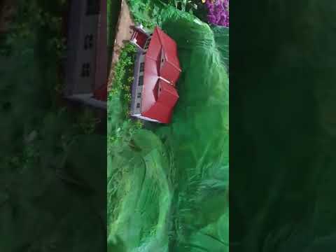 lalbagh flower show in 2022 flower show of ,Dr rajkumar and punithrajkumar