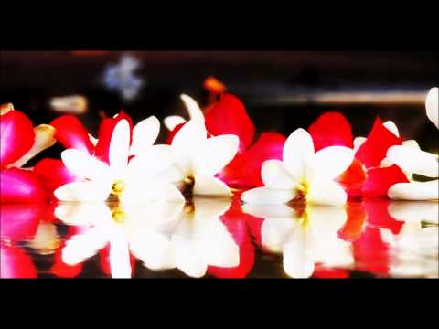 Titikua - Te Arii Tama