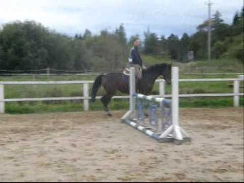 4v Tamma  by  CORMINT