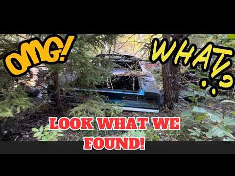 Kesslers Auto Salvage Classic Scrap Yard in Trego Wi