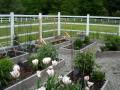 Ernie S Garden 2009 064