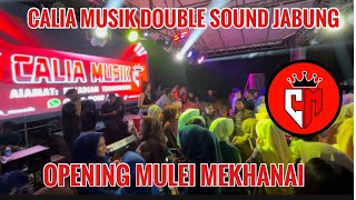 Download lagu CALIA OPENING MULEI MEKHANAI MUSIK REMIX DOBLE SOUND JABUNG LAMPUNG TIMUR TIMUR mp3