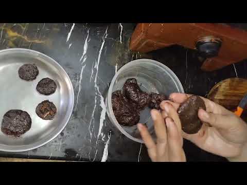 Chocolate Biscuits  🍪 || Easy Recipe || Yasmin Ashraf ||