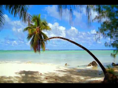Una Canción Me Trajo Hasta Aqui video