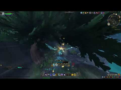 Caldera Coaster Reverse Challenge Gold