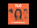 TLC - Intro-Lude (Audio)