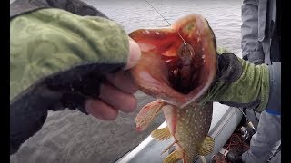 Рыбалка на реке ея краснодарский край