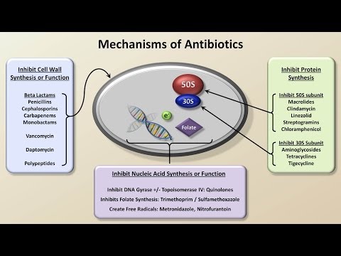 Mechanisms and Classification of Antibiotics (Antibiotics - Lecture 3)