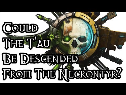 Could The T'au Be Descended From The Necrontyr? - 40K Theories