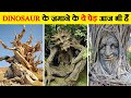Earth S Oldest Tree Alive For 5000 Years Methuselah Tree Mystery In Hindi