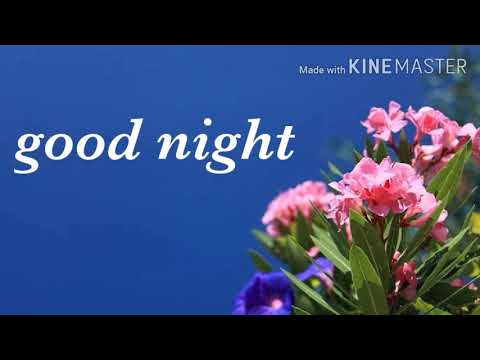  Good night flowers for whatsapp