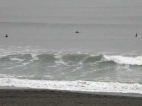 2009/10/5am9時ナマコン