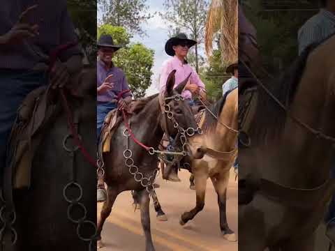 Cavalgada de Pontes Gestal - SP #cavalgada