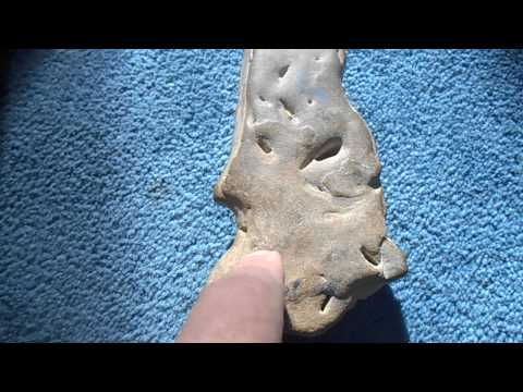 Transforming Shaman Story Stone from Serpent Mound Valley