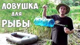 Как сделать морду для ловли рыбы