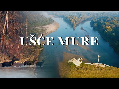 Ušće Mure - Hrvatska Amazona