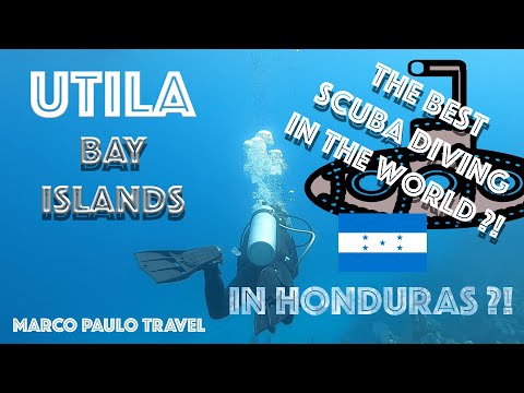 Scuba Diving Utila Honduras | Best Scuba in the World ?!