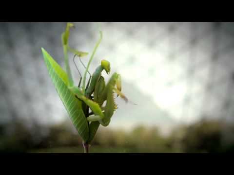 CGI 3D Animated Spot HD   Science Channel Idents  by   Dvein  Blacklist