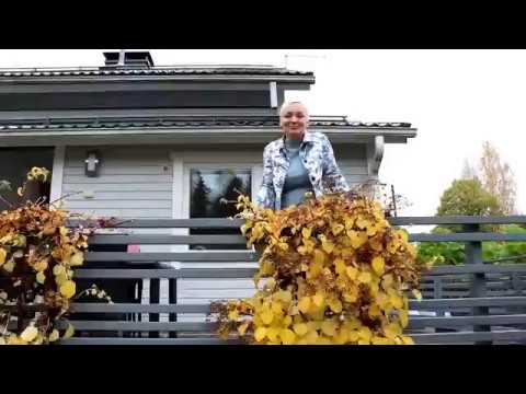 Lakeland Finland Région des Grands Lacs