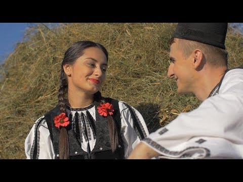 Bogdan Cioranu - Foaie verde lămâiță